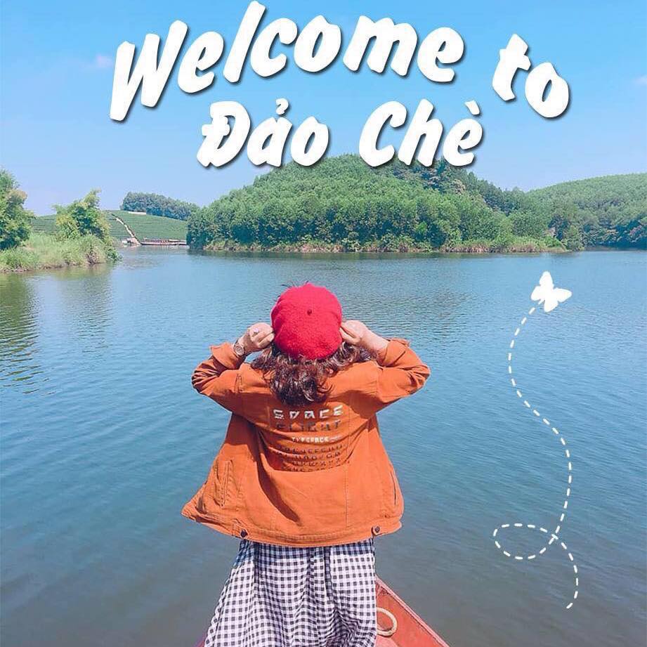 Daytrip du lịch Nghệ An 1 ngày: Đảo chè Thanh Chương -  Nông trại HDT - Đền Bạch Mã - KDL Eo Gió (PD-005)